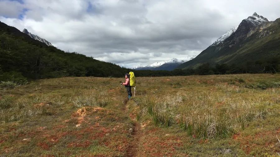 carmen-figueroa-sotelo