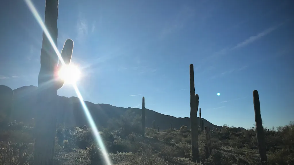 Crédit photo : Yannick Vézina